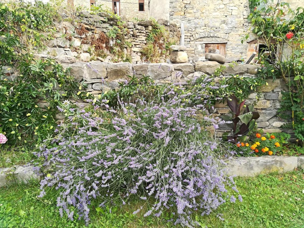 Casa La Abadia Apartment Liguerre de Ara Bagian luar foto